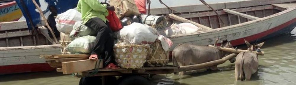 Tanzania Animal Welfare Society (TAWESO)