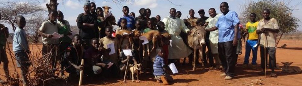 Tanzania Animal Welfare Society (TAWESO)