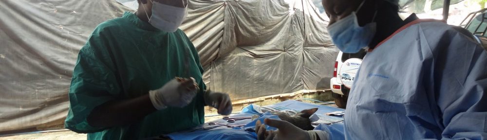 Tanzania Animal Welfare Society (TAWESO)