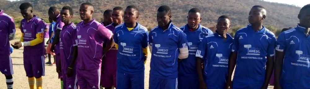 Tanzania Animal Welfare Society (TAWESO)