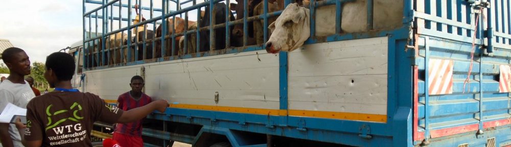 Tanzania Animal Welfare Society (TAWESO)